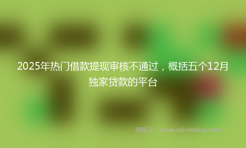 2025年热门借款提现审核不通过，概括五个12月独家贷款的平台