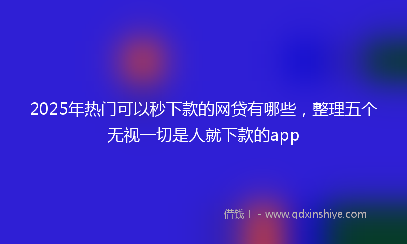 2025年热门可以秒下款的网贷有哪些，整理五个无视一切是人就下款的app