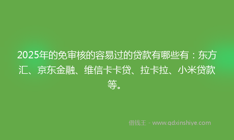 2025年的免审核的容易过的贷款有哪些有：东方汇、京东金融、维信卡卡贷、拉卡拉、小米贷款等。