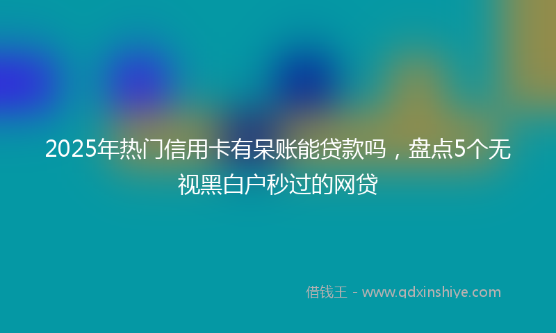 2025年热门信用卡有呆账能贷款吗，盘点5个无视黑白户秒过的网贷