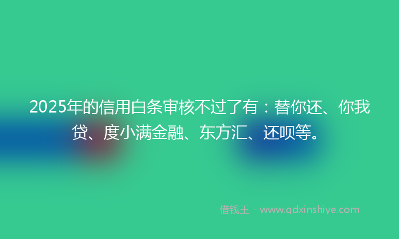 2025年的信用白条审核不过了有：替你还、你我贷、度小满金融、东方汇、还呗等。