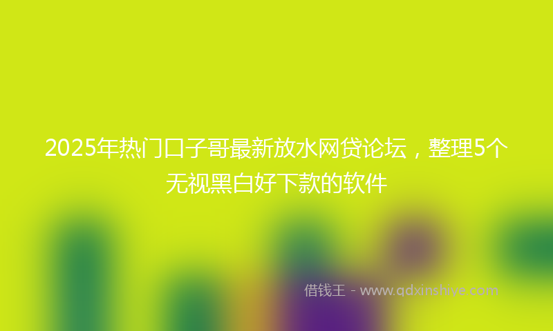 2025年热门口子哥最新放水网贷论坛，整理5个无视黑白好下款的软件