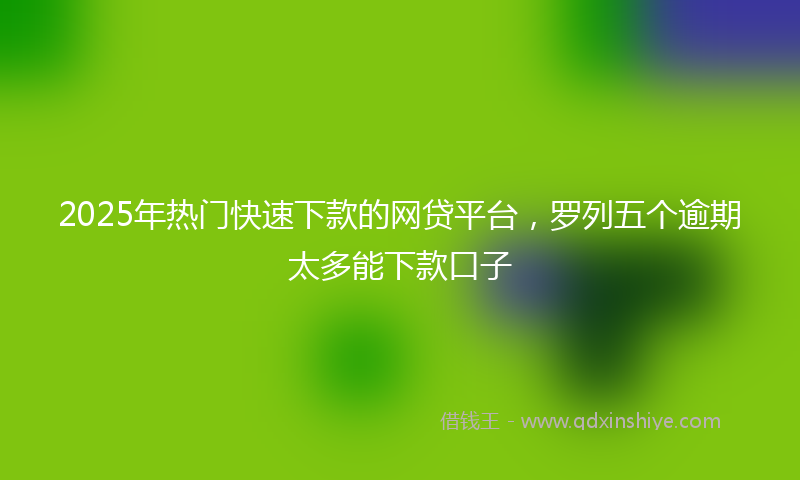2025年热门快速下款的网贷平台，罗列五个逾期太多能下款口子