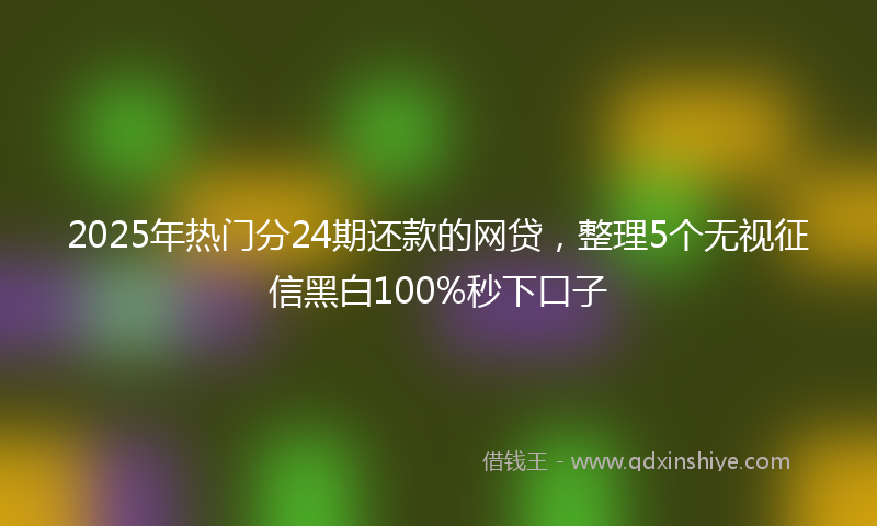 2025年热门分24期还款的网贷，整理5个无视征信黑白100%秒下口子