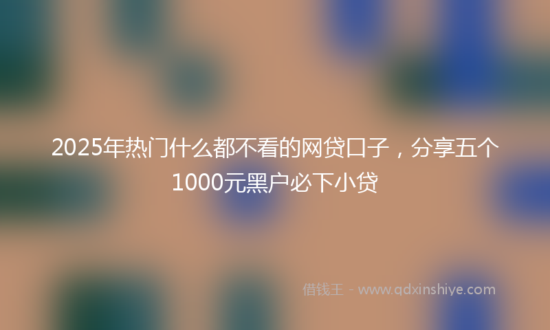 2025年热门什么都不看的网贷口子，分享五个1000元黑户必下小贷