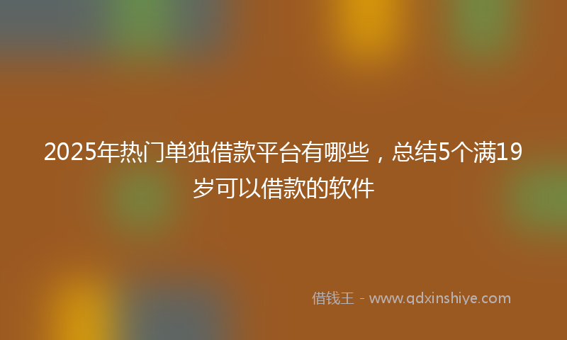 2025年热门单独借款平台有哪些，总结5个满19岁可以借款的软件