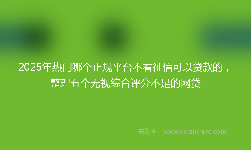 2025年热门哪个正规平台不看征信可以贷款的，整理五个无视综合评分不足的网贷