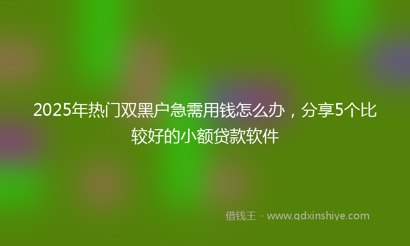 2025年热门双黑户急需用钱怎么办，分享5个比较好的小额贷款软件