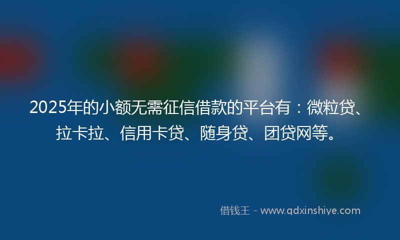 2025年的小额无需征信借款的平台有：微粒贷、拉卡拉、信用卡贷、随身贷、团贷网等。