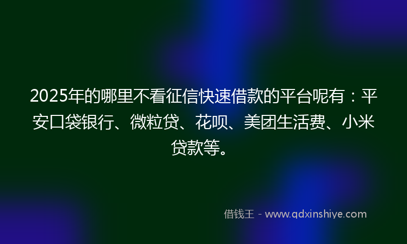 2025年的哪里不看征信快速借款的平台呢有：平安口袋银行、微粒贷、花呗、美团生活费、小米贷款等。