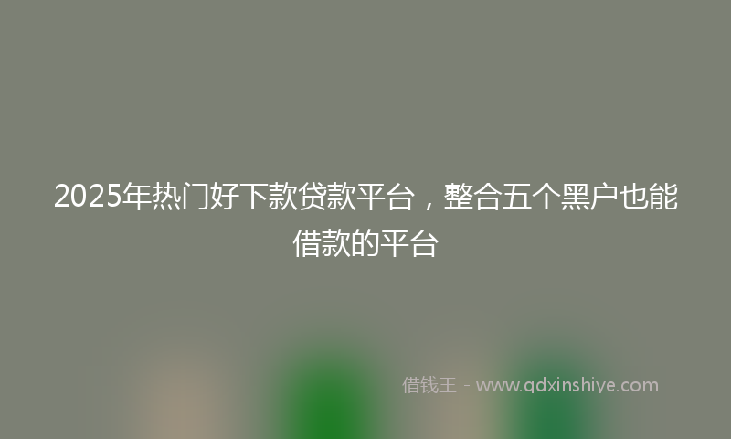 2025年热门好下款贷款平台，整合五个黑户也能借款的平台