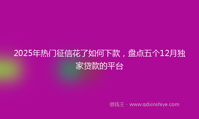 2025年热门征信花了如何下款，盘点五个12月独家贷款的平台