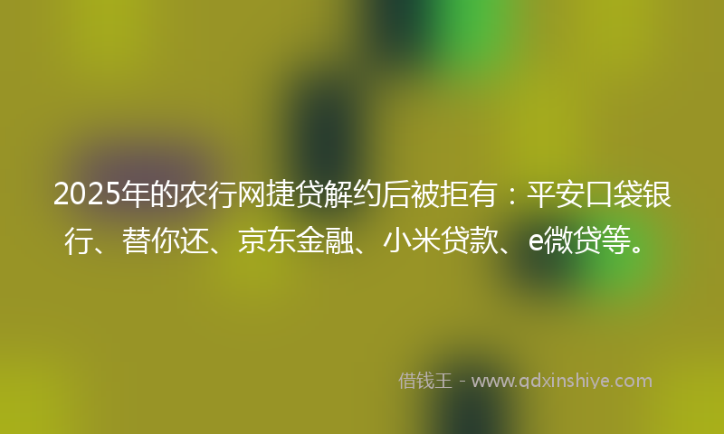 2025年的农行网捷贷解约后被拒有：平安口袋银行、替你还、京东金融、小米贷款、e微贷等。