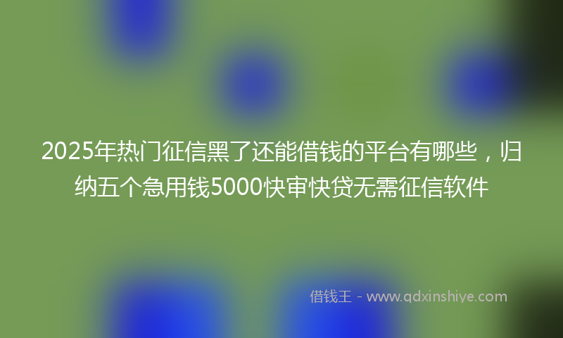 2025年热门征信黑了还能借钱的平台有哪些，归纳五个急用钱5000快审快贷无需征信软件
