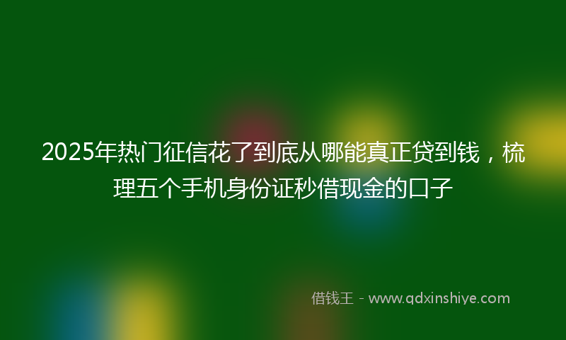 2025年热门征信花了到底从哪能真正贷到钱，梳理五个手机身份证秒借现金的口子