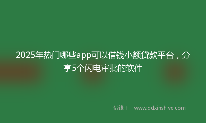 2025年热门哪些app可以借钱小额贷款平台，分享5个闪电审批的软件