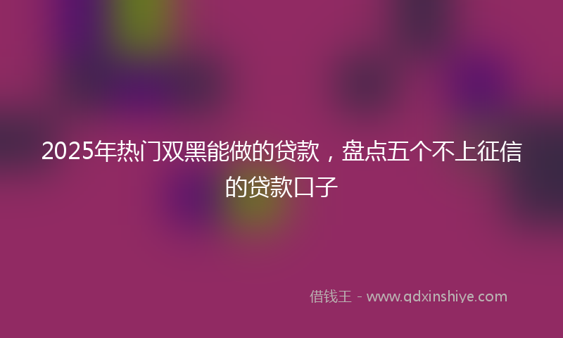2025年热门双黑能做的贷款，盘点五个不上征信的贷款口子