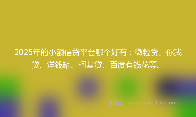 2025年的小额信贷平台哪个好有：微粒贷、你我贷、洋钱罐、柯基贷、百度有钱花等。