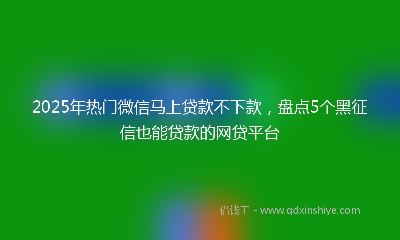 2025年热门微信马上贷款不下款，盘点5个黑征信也能贷款的网贷平台