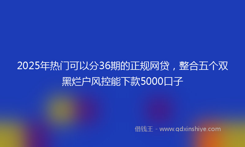 2025年热门可以分36期的正规网贷，整合五个双黑烂户风控能下款5000口子