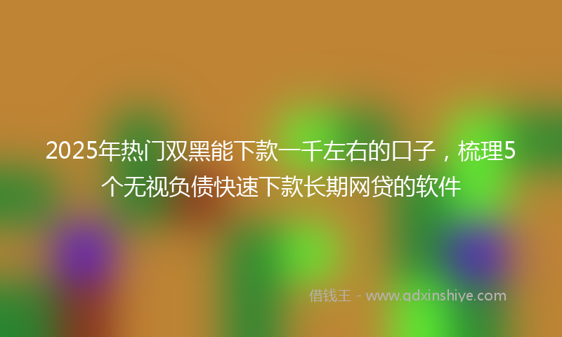 2025年热门双黑能下款一千左右的口子，梳理5个无视负债快速下款长期网贷的软件