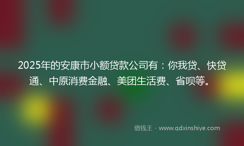 2025年的安康市小额贷款公司有：你我贷、快贷通、中原消费金融、美团生活费、省呗等。