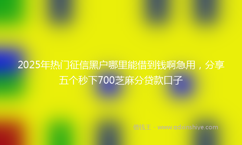 2025年热门征信黑户哪里能借到钱啊急用，分享五个秒下700芝麻分贷款口子