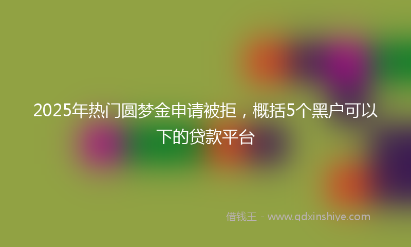 2025年热门圆梦金申请被拒，概括5个黑户可以下的贷款平台