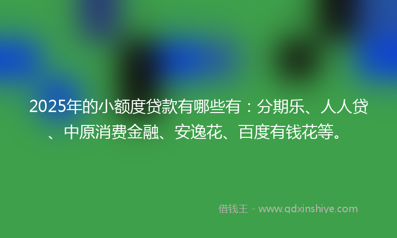 2025年的小额度贷款有哪些有：分期乐、人人贷、中原消费金融、安逸花、百度有钱花等。