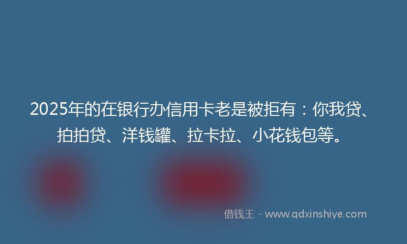 2025年的在银行办信用卡老是被拒有：你我贷、拍拍贷、洋钱罐、拉卡拉、小花钱包等。