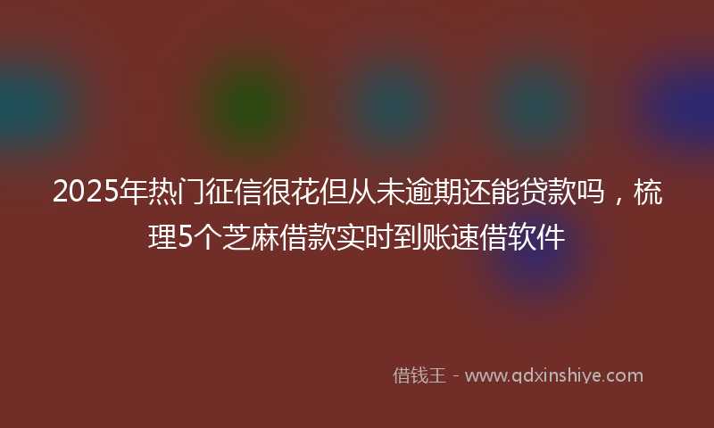 2025年热门征信很花但从未逾期还能贷款吗，梳理5个芝麻借款实时到账速借软件