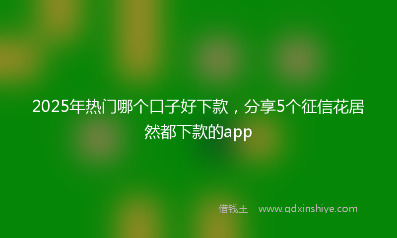 2025年热门哪个口子好下款，分享5个征信花居然都下款的app