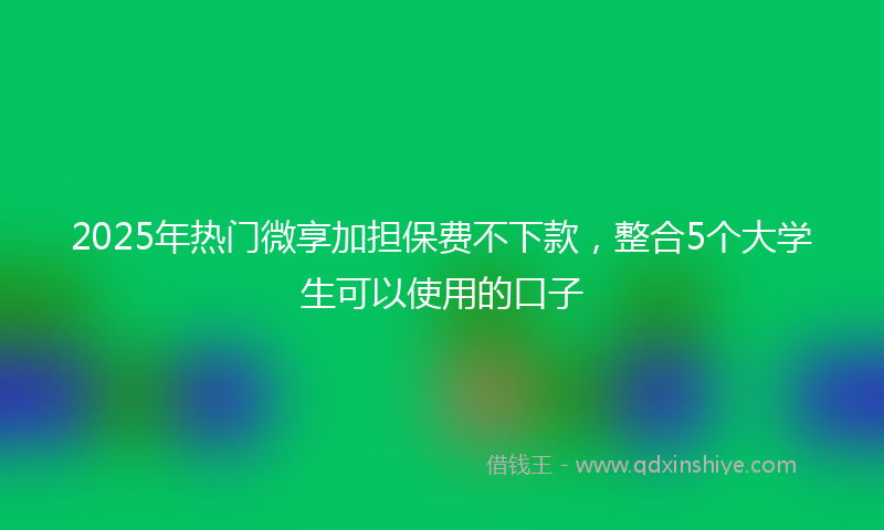 2025年热门微享加担保费不下款，整合5个大学生可以使用的口子