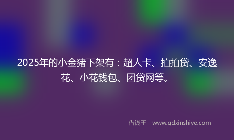 2025年的小金猪下架有：超人卡、拍拍贷、安逸花、小花钱包、团贷网等。