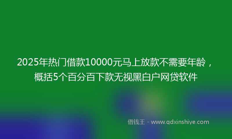 2025年热门借款10000元马上放款不需要年龄，概括5个百分百下款无视黑白户网贷软件