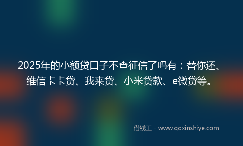 2025年的小额贷口子不查征信了吗有：替你还、维信卡卡贷、我来贷、小米贷款、e微贷等。