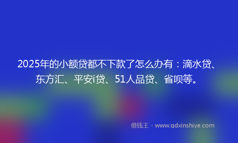 2025年的小额贷都不下款了怎么办有：滴水贷、东方汇、平安i贷、51人品贷、省呗等。