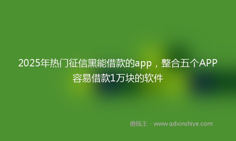 2025年热门征信黑能借款的app，整合五个APP容易借款1万块的软件