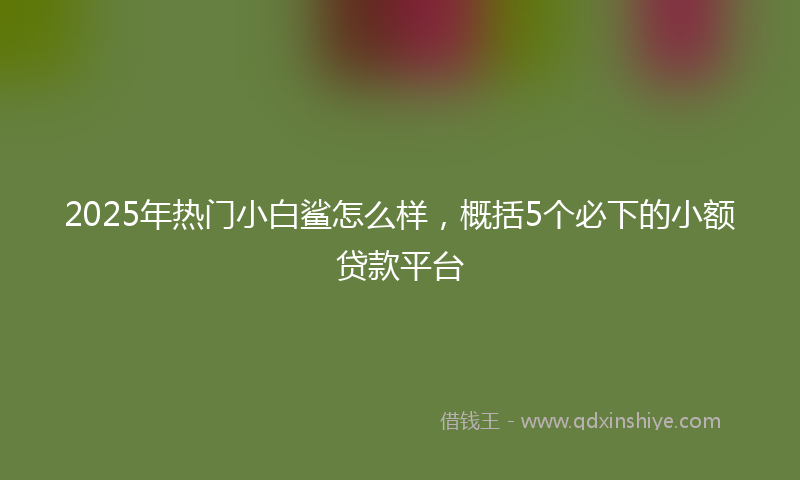 2025年热门小白鲨怎么样，概括5个必下的小额贷款平台