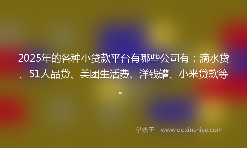 2025年的各种小贷款平台有哪些公司有：滴水贷、51人品贷、美团生活费、洋钱罐、小米贷款等。
