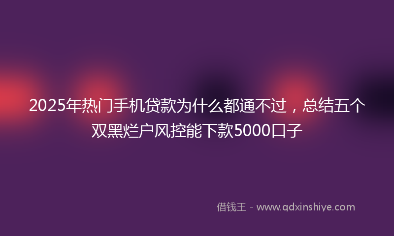 2025年热门手机贷款为什么都通不过，总结五个双黑烂户风控能下款5000口子