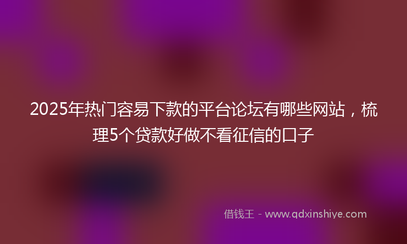 2025年热门容易下款的平台论坛有哪些网站，梳理5个贷款好做不看征信的口子