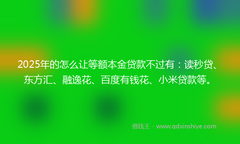 2025年的怎么让等额本金贷款不过有：读秒贷、东方汇、融逸花、百度有钱花、小米贷款等。