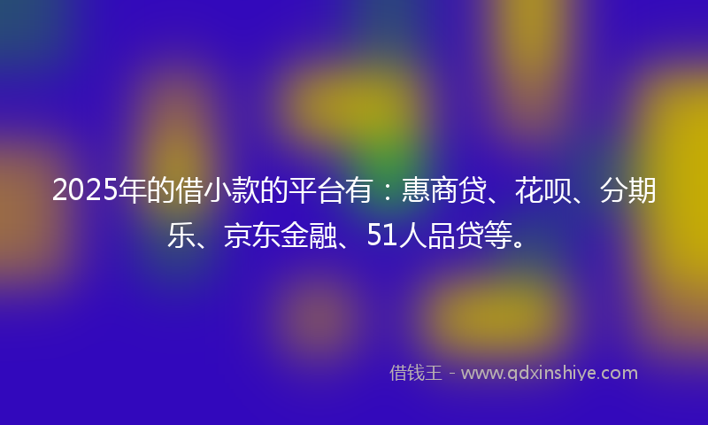 2025年的借小款的平台有：惠商贷、花呗、分期乐、京东金融、51人品贷等。