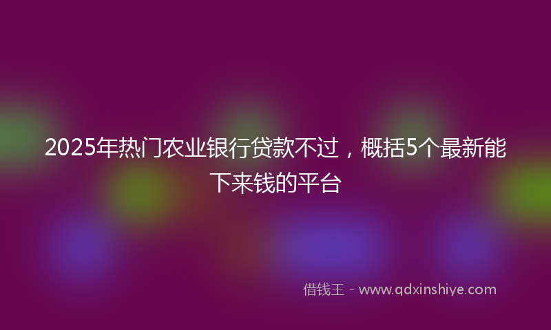 2025年热门农业银行贷款不过，概括5个最新能下来钱的平台