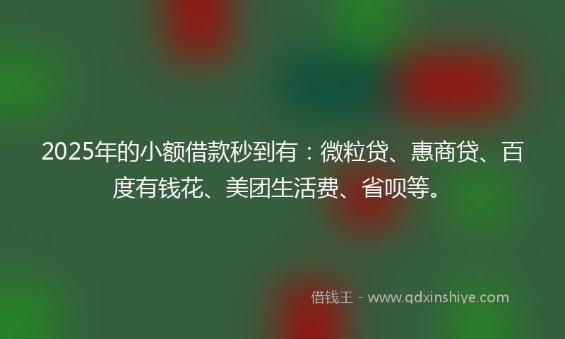 2025年的小额借款秒到有：微粒贷、惠商贷、百度有钱花、美团生活费、省呗等。