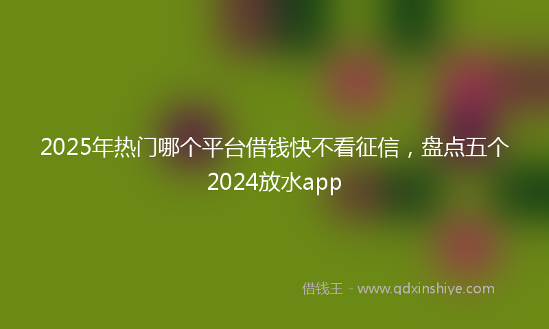 2025年热门哪个平台借钱快不看征信，盘点五个2024放水app