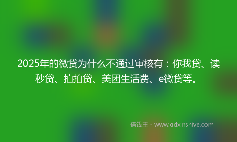 2025年的微贷为什么不通过审核有：你我贷、读秒贷、拍拍贷、美团生活费、e微贷等。