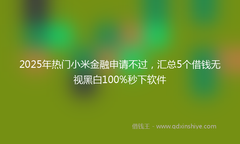 2025年热门小米金融申请不过，汇总5个借钱无视黑白100%秒下软件