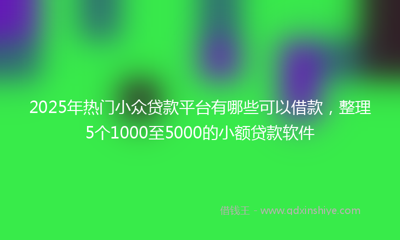 2025年热门小众贷款平台有哪些可以借款，整理5个1000至5000的小额贷款软件